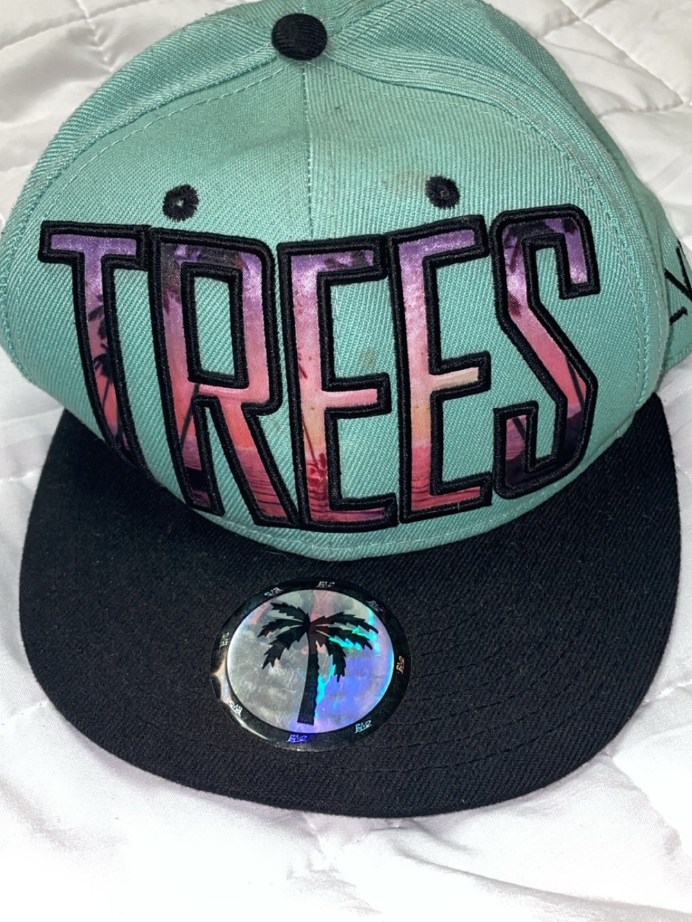 BLVD Kids Mint Green and Black 'TREES' Snapback with Pink-Purple Lettering